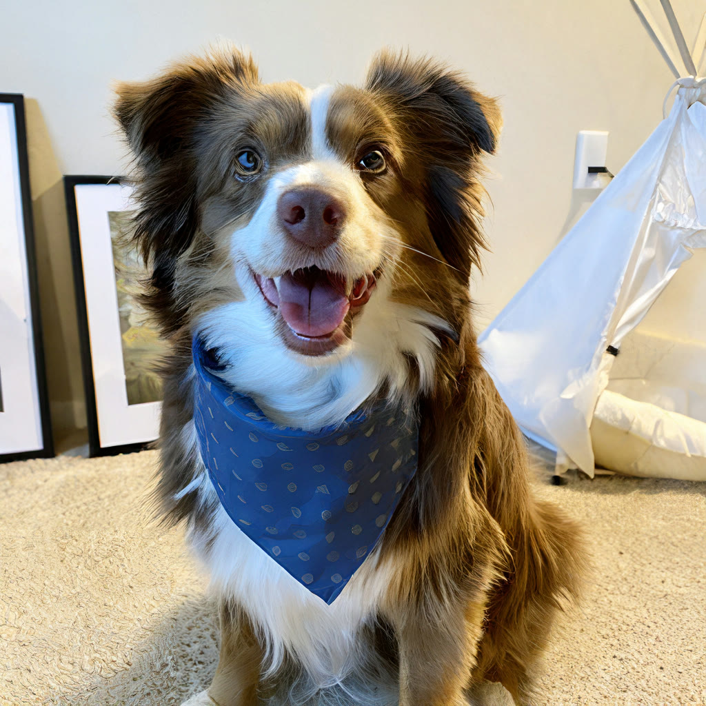 Original 1024-pixel portrait of a dog